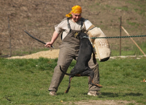 Training 4. 4. 2007